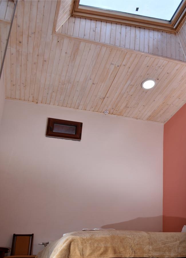 Hotel " Boutique " Ujgorod Dış mekan fotoğraf